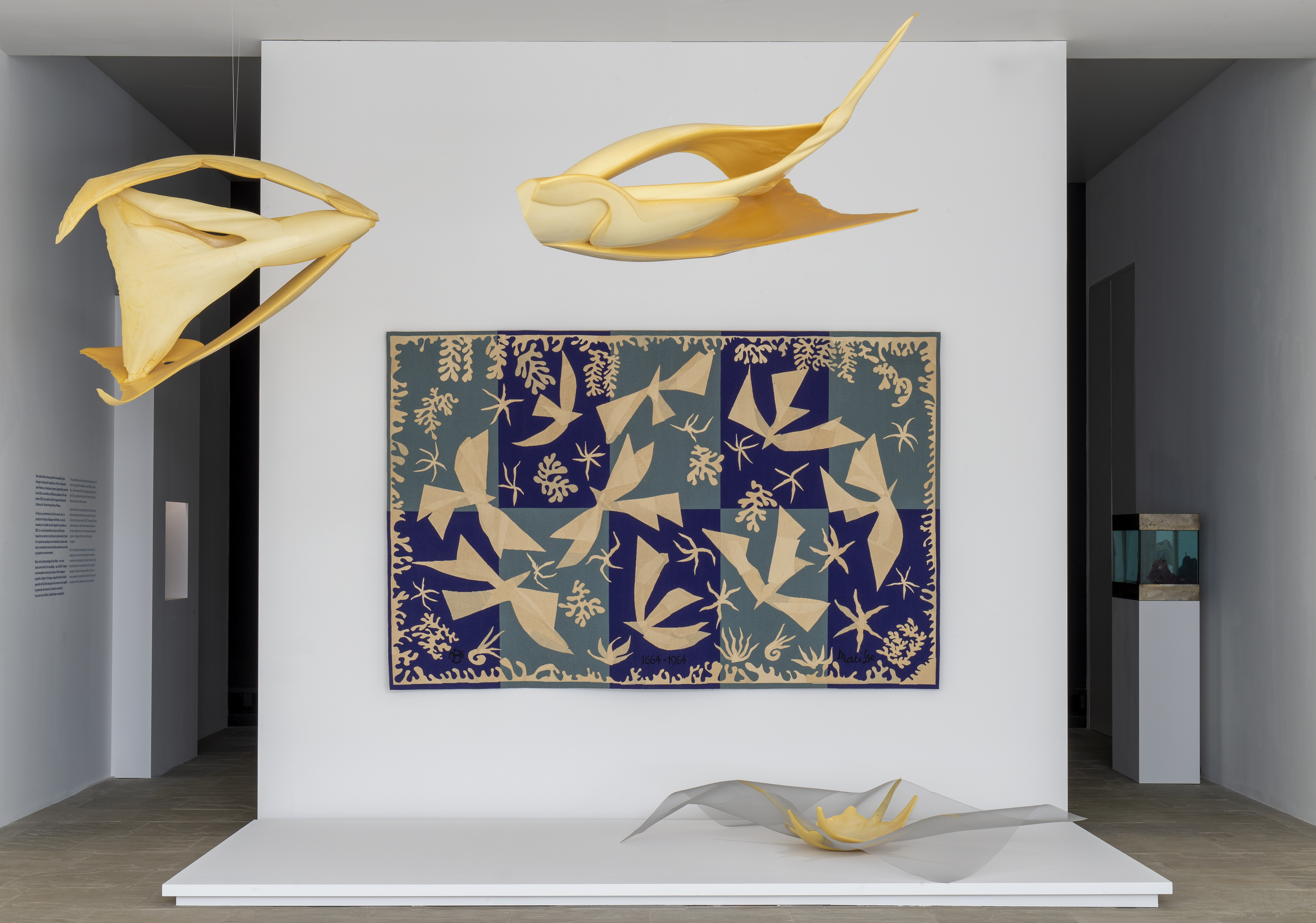 Matisse_Orozco_photo Marc Domage